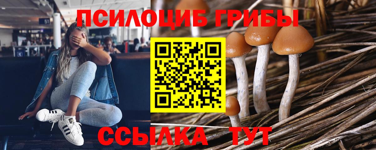 Галлюциногенные грибы GOLDEN TEACHER Гусиноозёрск